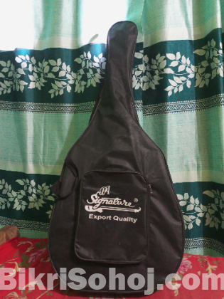Signature Guitar 265 Model